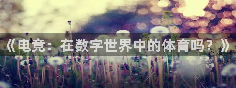 米兰电竞登录入口：《电竞：在数字世界中的体育吗？》