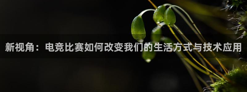 米兰电竞首页：新视角：电竞比赛如何改变我们的生活方式与技术应用