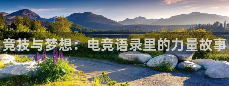 米兰电竞网址：竞技与梦想：电竞语录里的力量故事