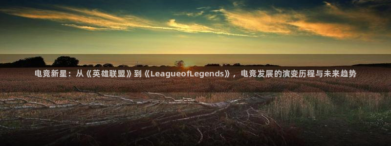 米兰电竞在线官网：电竞新星：从《英雄联盟》到《LeagueofLegends》，电竞发展的演变历程与未来趋势