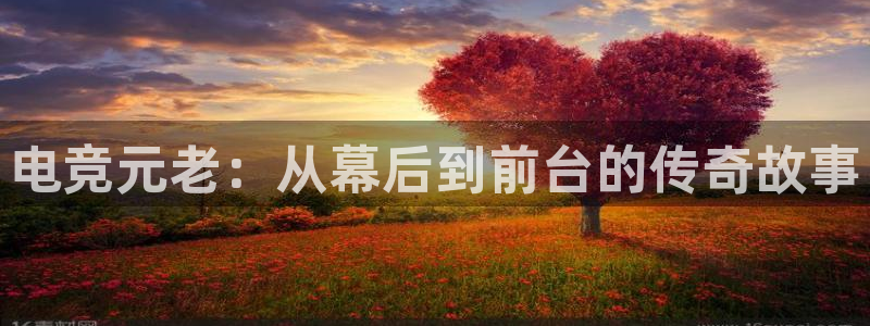 米兰电竞在线官网：电竞元老：从幕后到前台的传奇故事