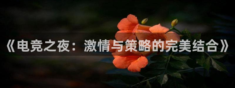 米兰电竞app：《电竞之夜：激情与策略的完美结合》