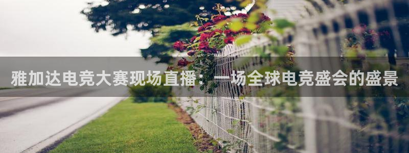 米兰电竞在线：雅加达电竞大赛现场直播：一场全球电竞盛会的盛景